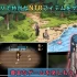 护身术道场 Self Defense Dojo 官方中文版 PC安卓双端资源 全平台适配