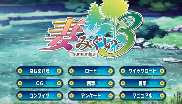 妻中蜜3 官方中文电脑版 汉化硬盘版 免安装绿色版