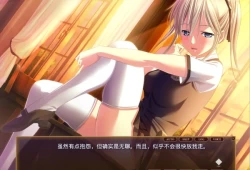 绝对不能被抓 魔女聘用试验 中文汉化电脑版 官方中文PC版